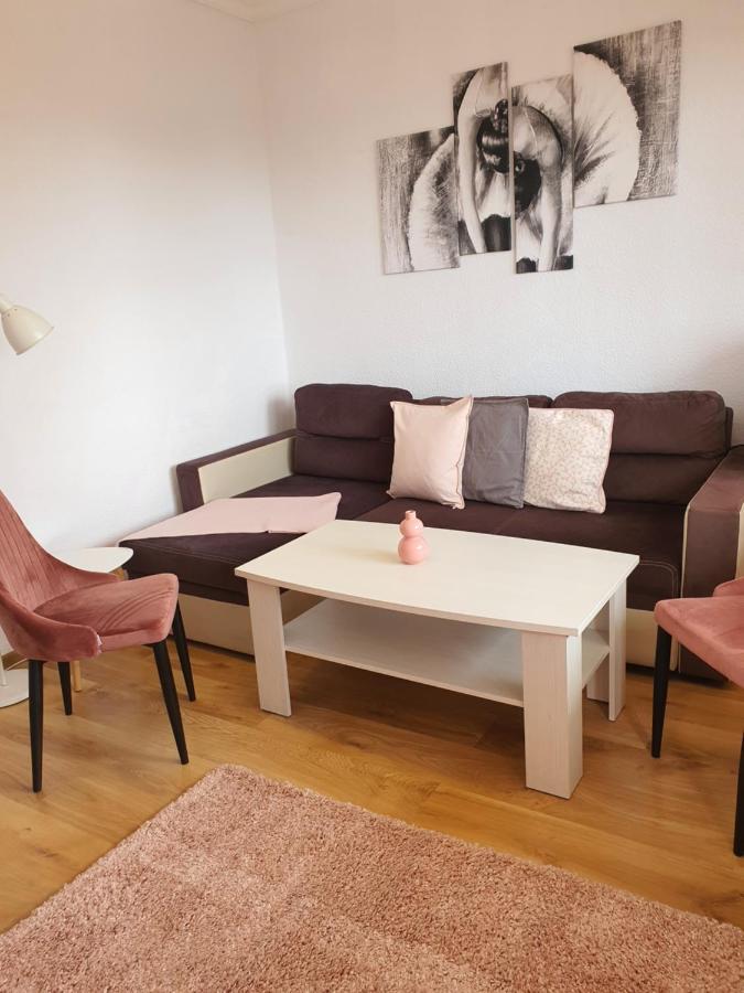 Dom Goscinny Marta - Pokoje, Apartamenty, Domki Krynica Morska Exterior foto